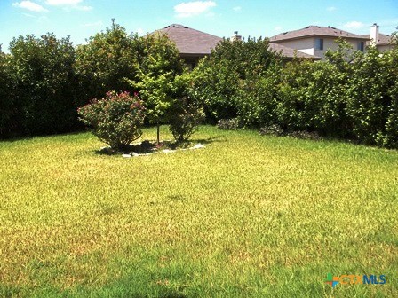 6205 Charlotte Lane Property Photo 18