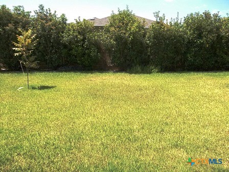 6205 Charlotte Lane Property Photo 20