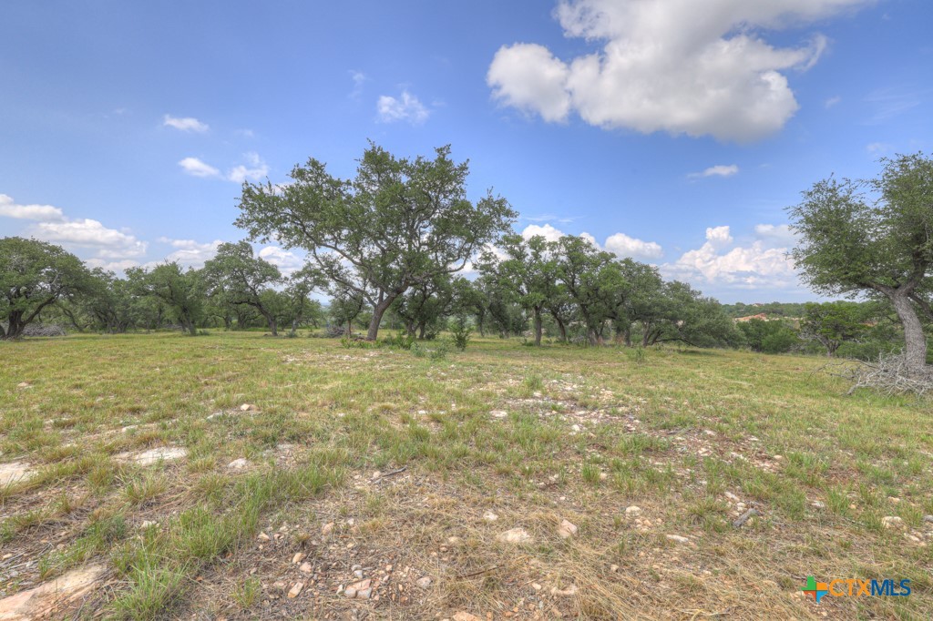 338 Sheridan Drive Property Photo 13