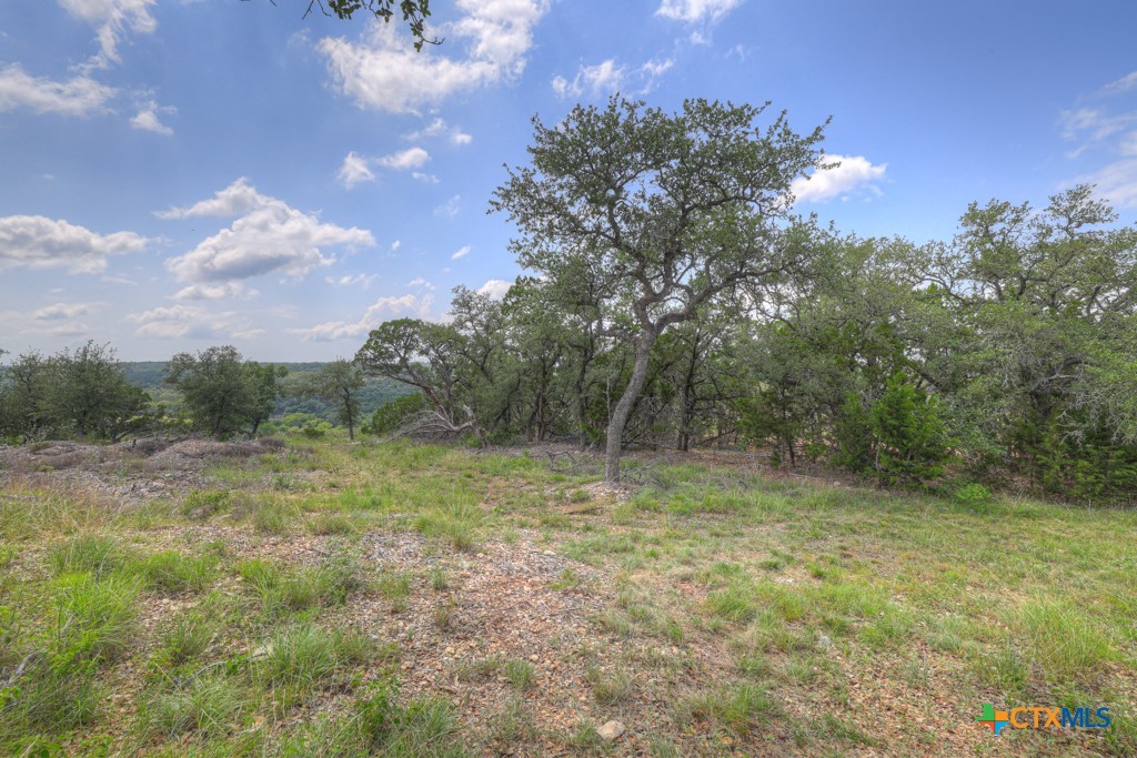 338 Sheridan Drive Property Photo 19