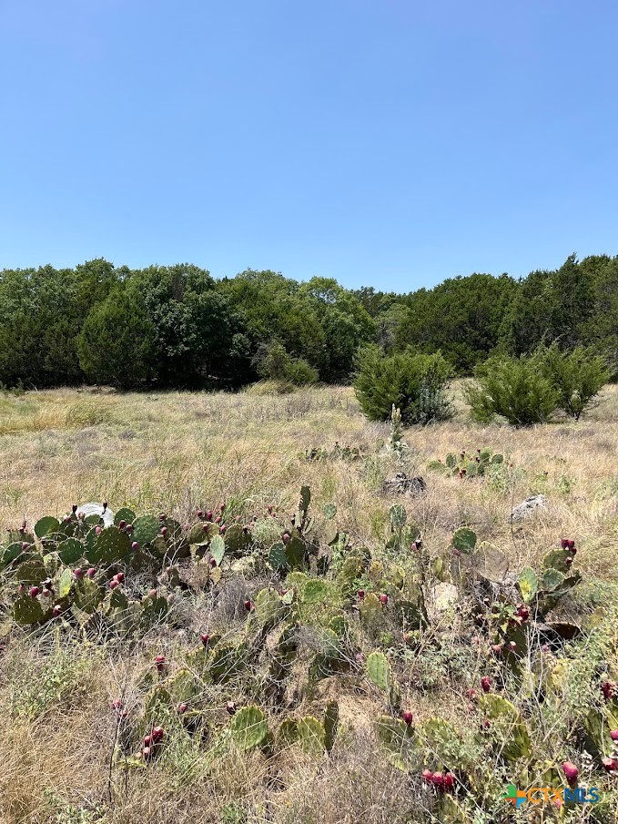 1580 County Road 2113 Road Property Photo 14