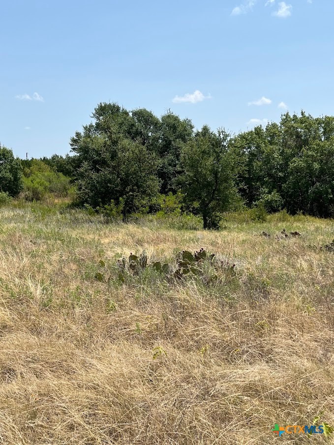 1580 County Road 2113 Road Property Photo 17