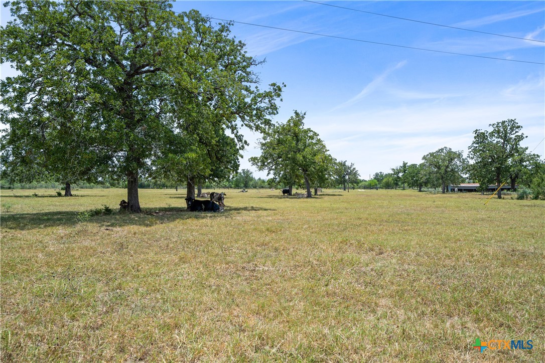 7135 Brown Road Property Photo 19