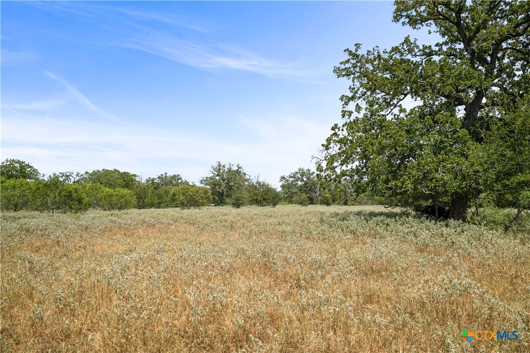 7135 Brown Road Property Photo 22