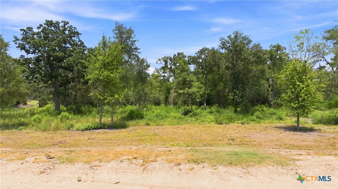408 Cresent Bend Property Photo 3