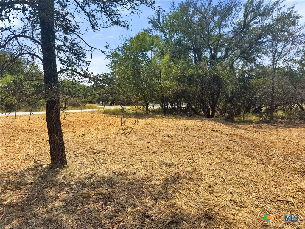 238 Sandy Mountain Drive Property Photo 4