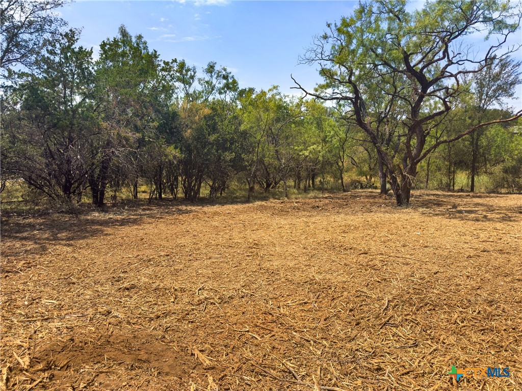 238 Sandy Mountain Drive Property Photo 8