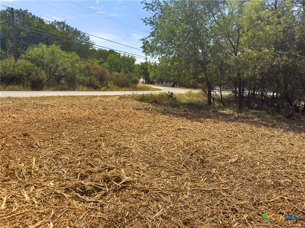 238 Sandy Mountain Drive Property Photo 9