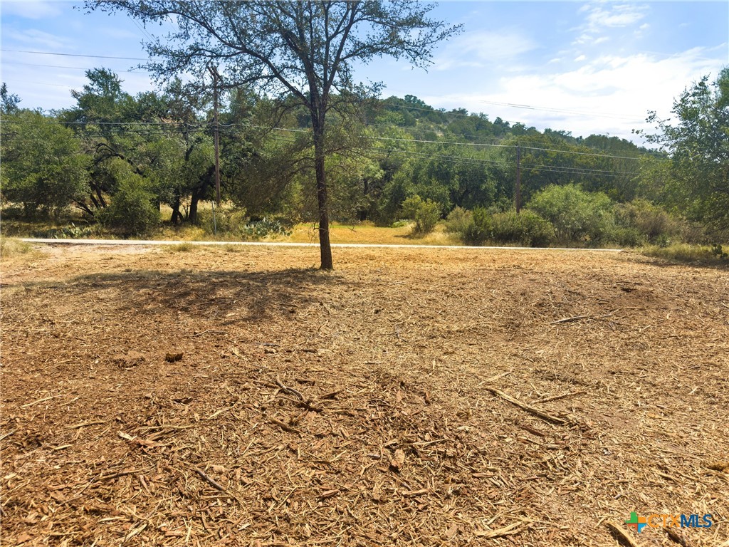238 Sandy Mountain Drive Property Photo 11