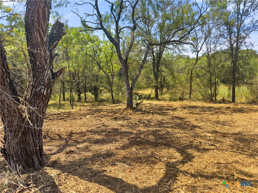 238 Sandy Mountain Drive Property Photo 12