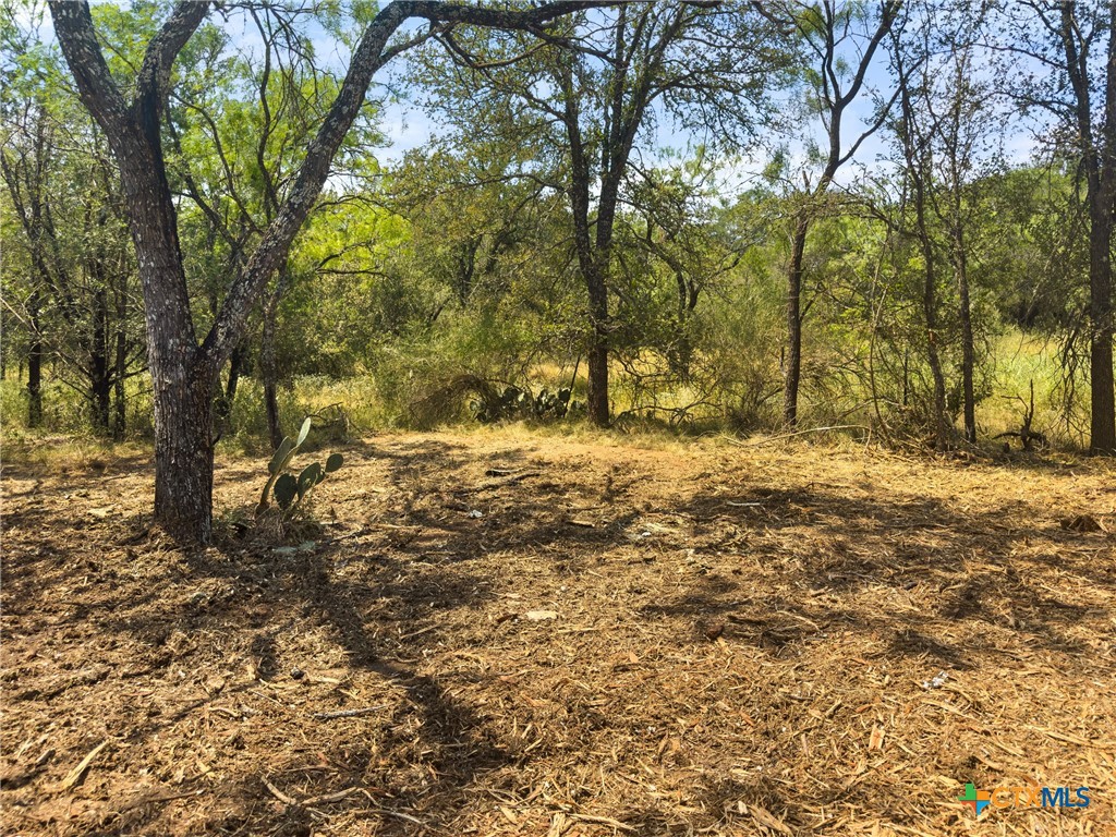 238 Sandy Mountain Drive Property Photo 13