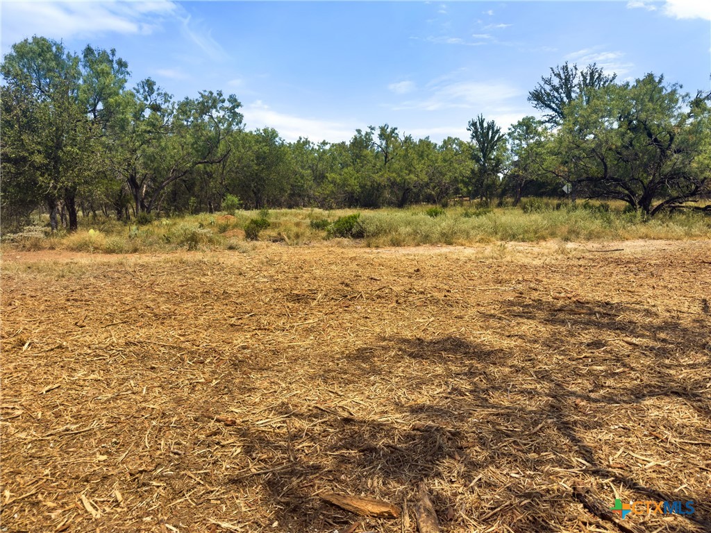 238 Sandy Mountain Drive Property Photo 14