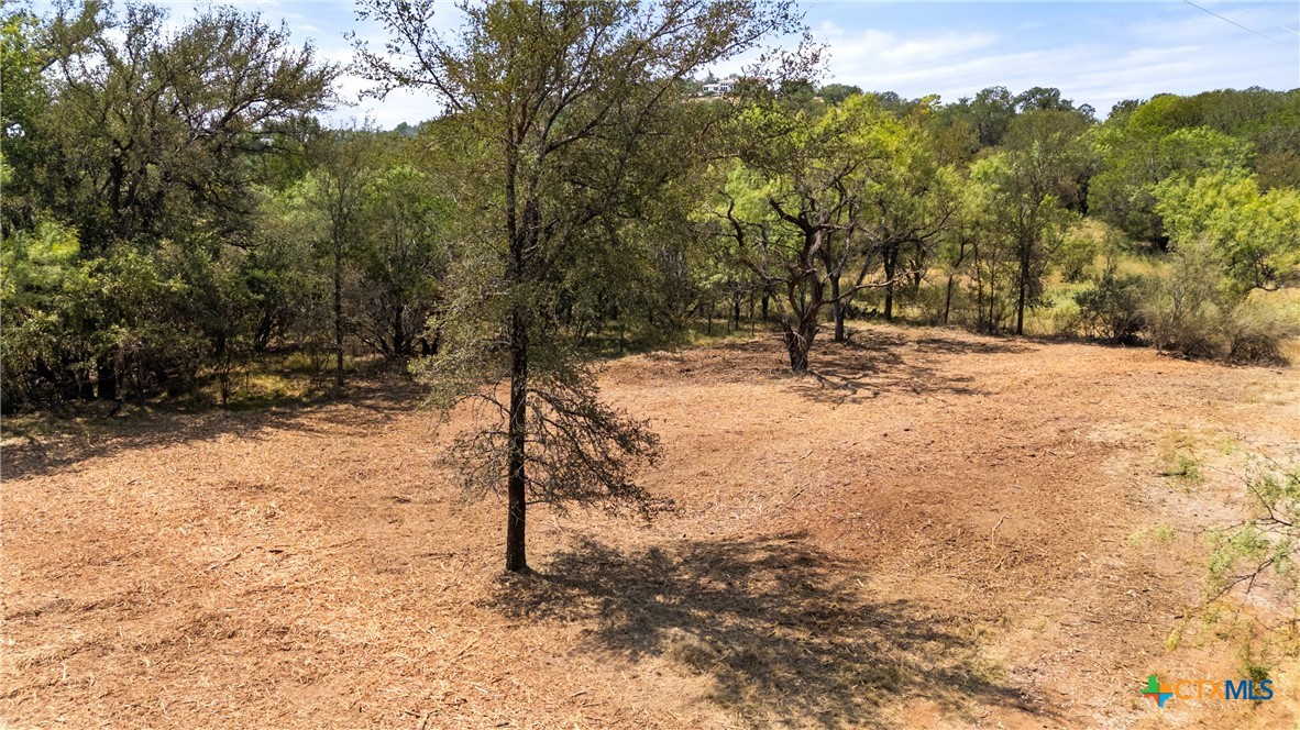 238 Sandy Mountain Drive Property Photo 16
