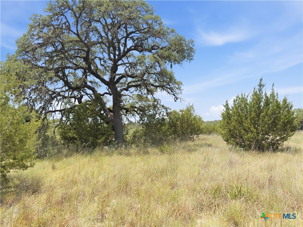 963 Summit Ridge Trail Property Photo 1