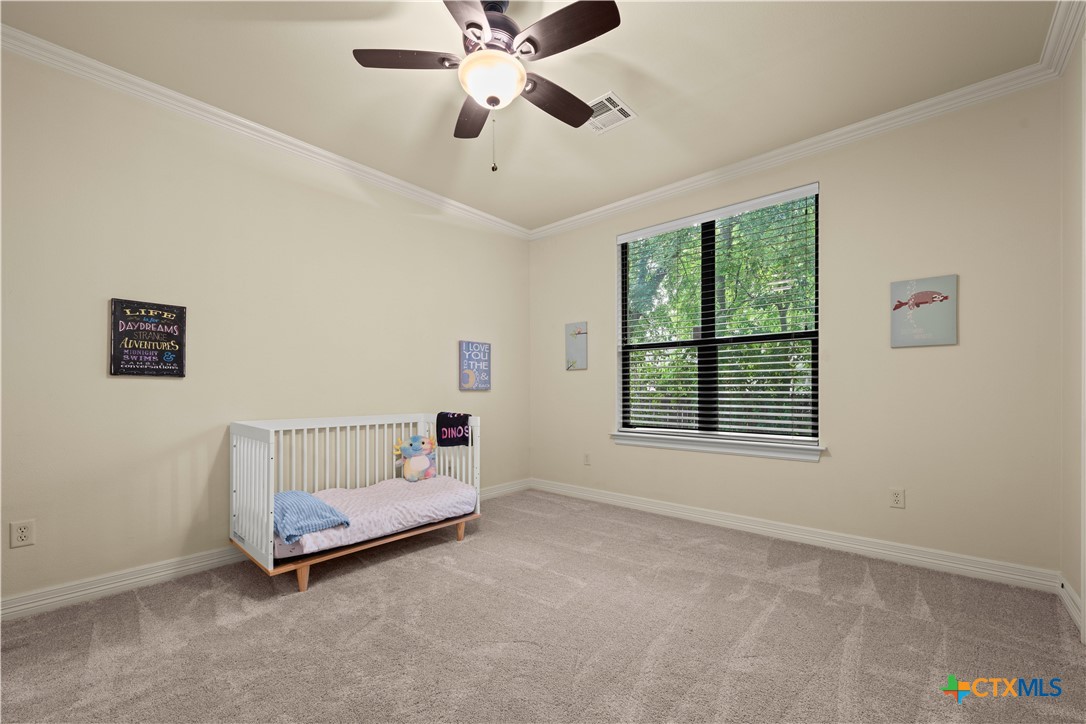 6221 Turtle Creek Trail Property Photo 26