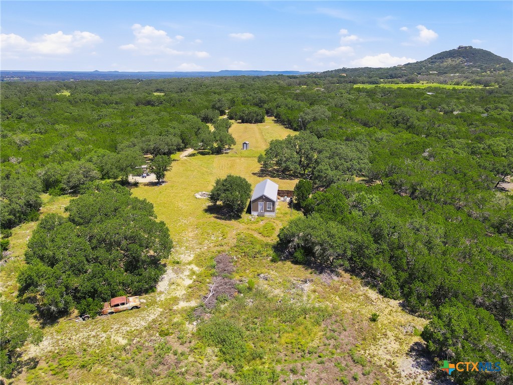1353 Brushy Creek Drive Property Photo 3