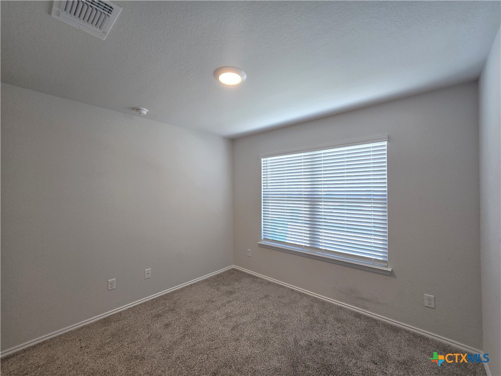 2349 Bee Creek Drive Property Photo 25