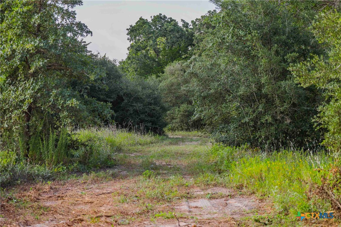 Tbd Stiewert Lane Property Photo 7