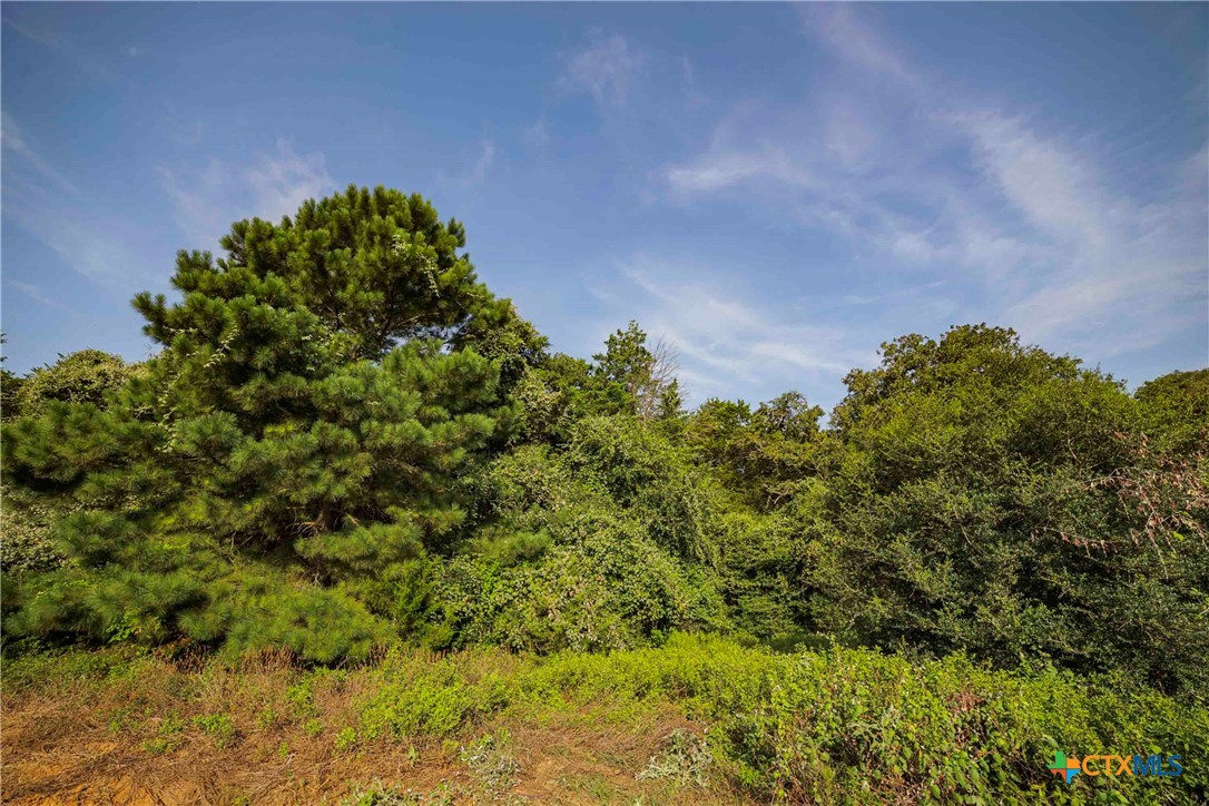 Tbd Stiewert Lane Property Photo 11