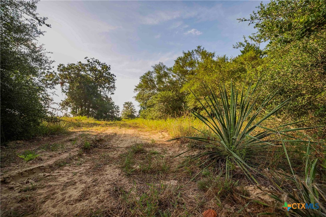 Tbd Stiewert Lane Property Photo 14