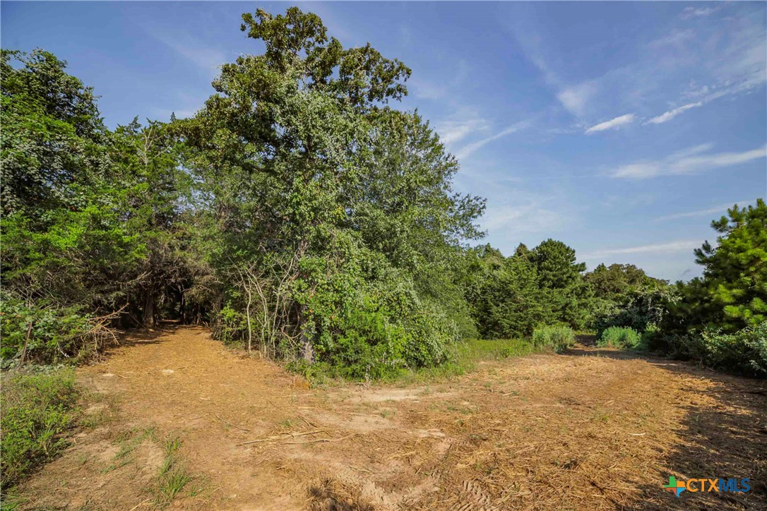Tbd Stiewert Lane Property Photo 23