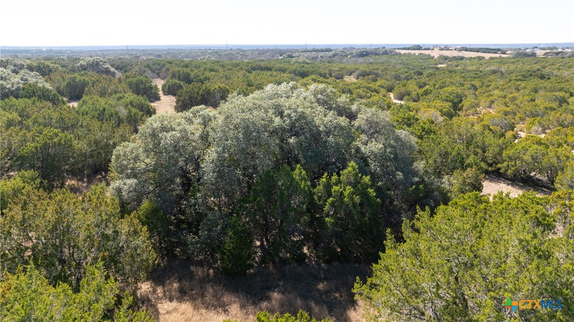 Tbd County Road 4700 Property Photo 19