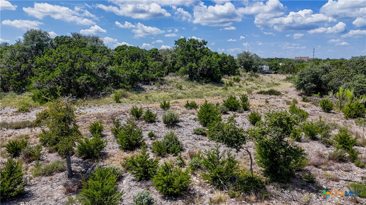 988 Earle Oak Avenue Property Photo 19