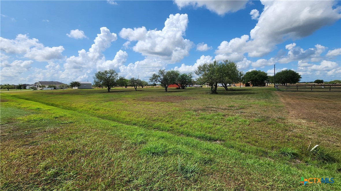 81 Kendal Drive Property Photo 6