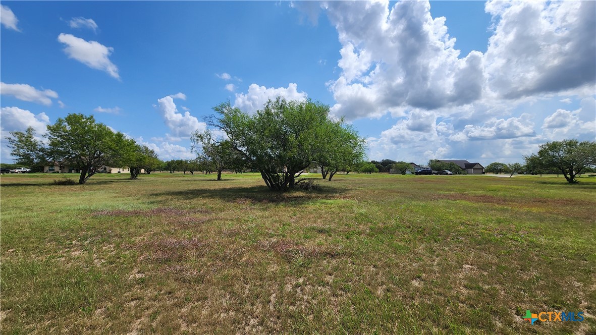 81 Kendal Drive Property Photo 13