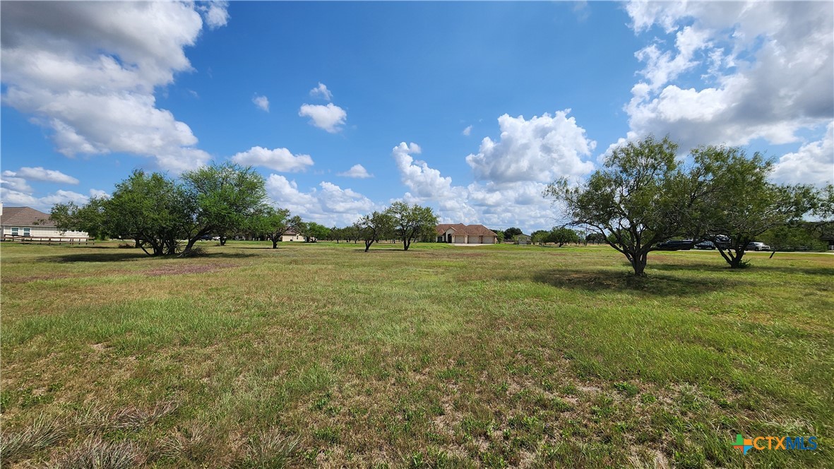 81 Kendal Drive Property Photo 15