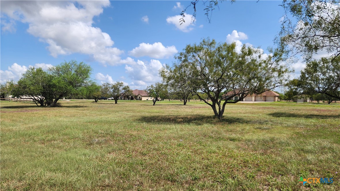 81 Kendal Drive Property Photo 17