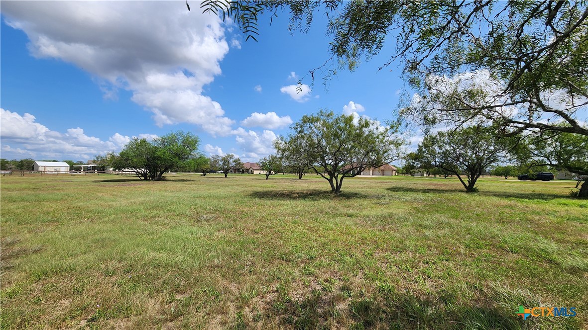 81 Kendal Drive Property Photo 18