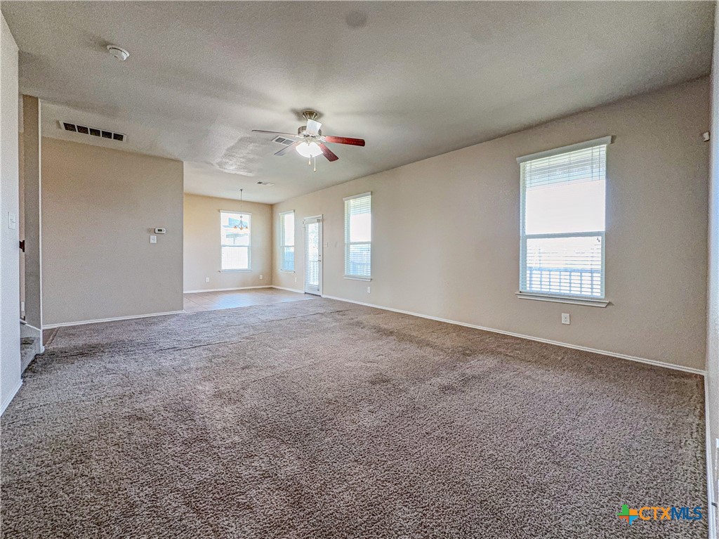 2507 Black Orchid Drive Property Photo 20