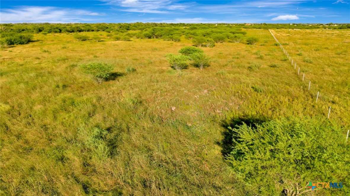 157 Brushy Creek Road Property Photo 14