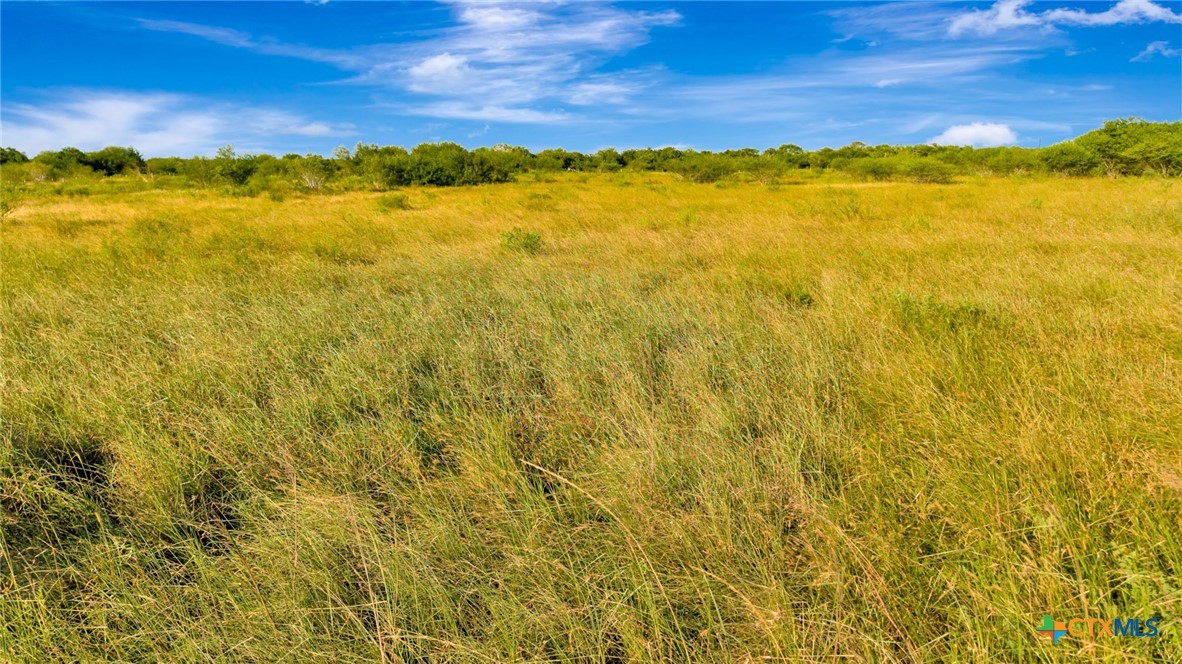 157 Brushy Creek Road Property Photo 15