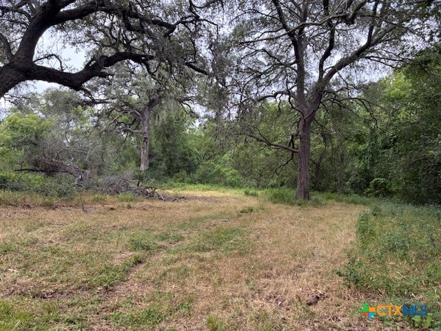 1102 Fm 443 Property Photo 12