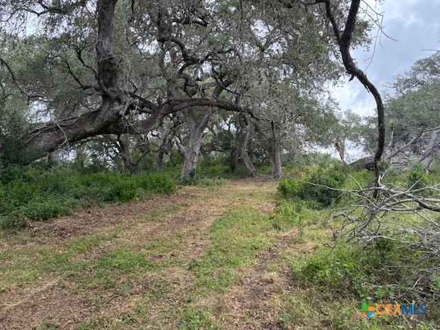 1102 Fm 443 Property Photo 13