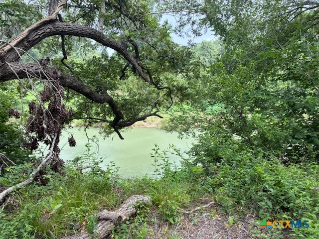1102 Fm 443 Property Photo 14