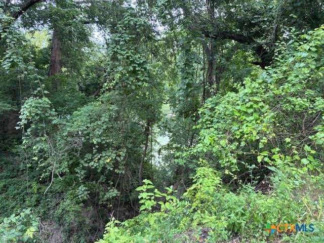 1102 Fm 443 Property Photo 15