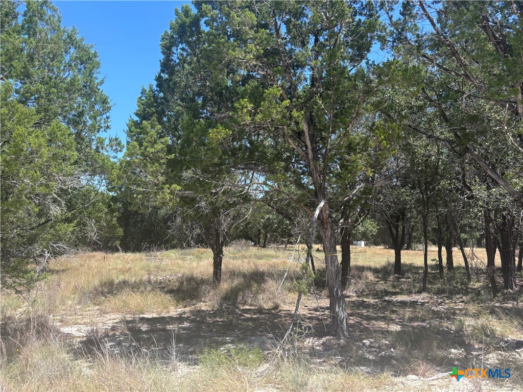 219 County Road 4360 Property Photo 2