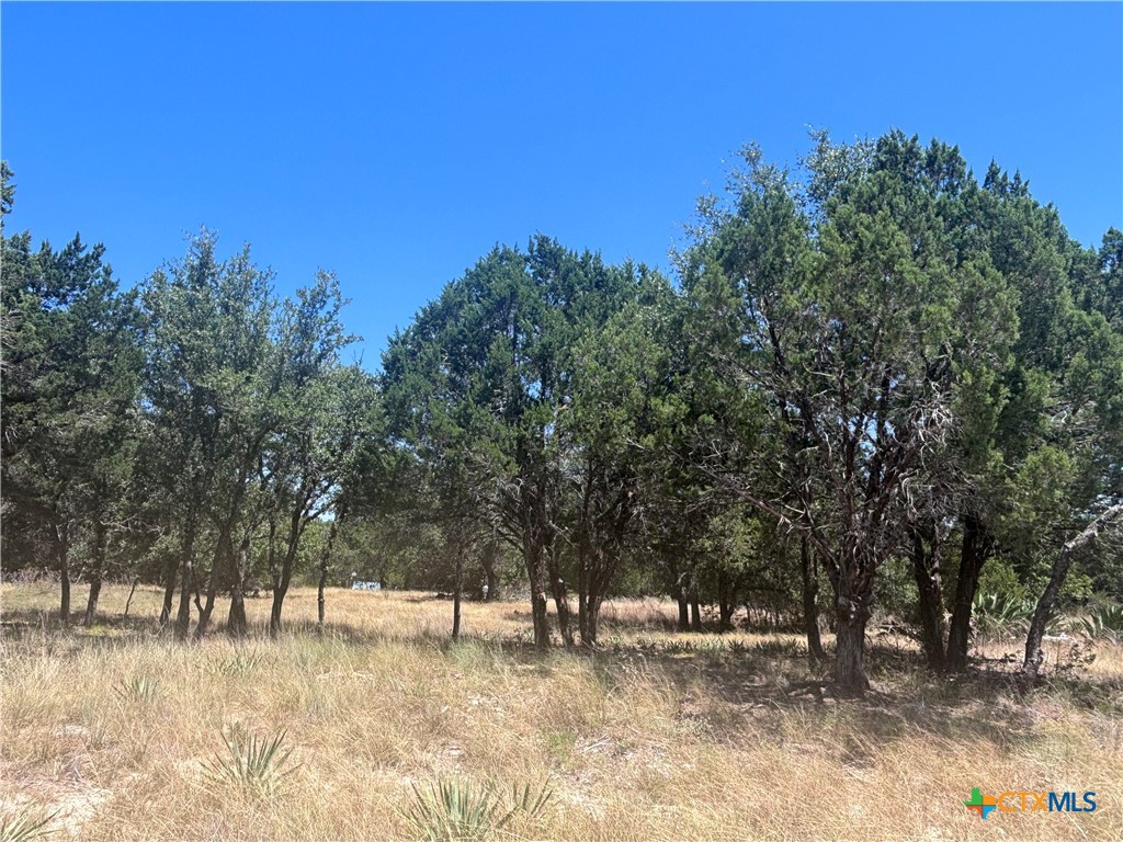 219 County Road 4360 Property Photo 3