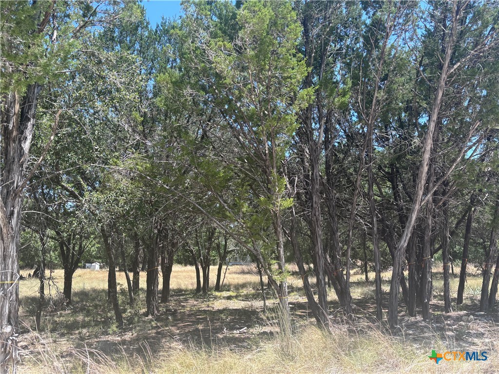 219 County Road 4360 Property Photo 3