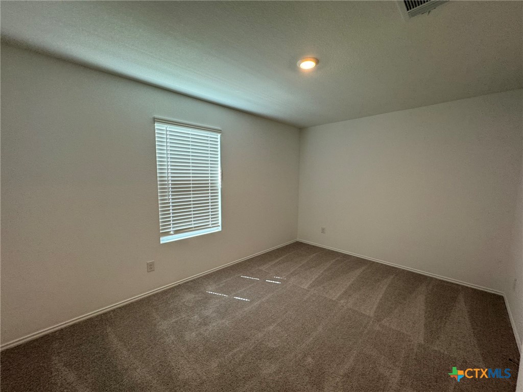 317 Trinity River Holw Property Photo 14
