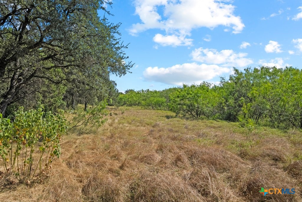 831 Ayers Rock Road Property Photo 3