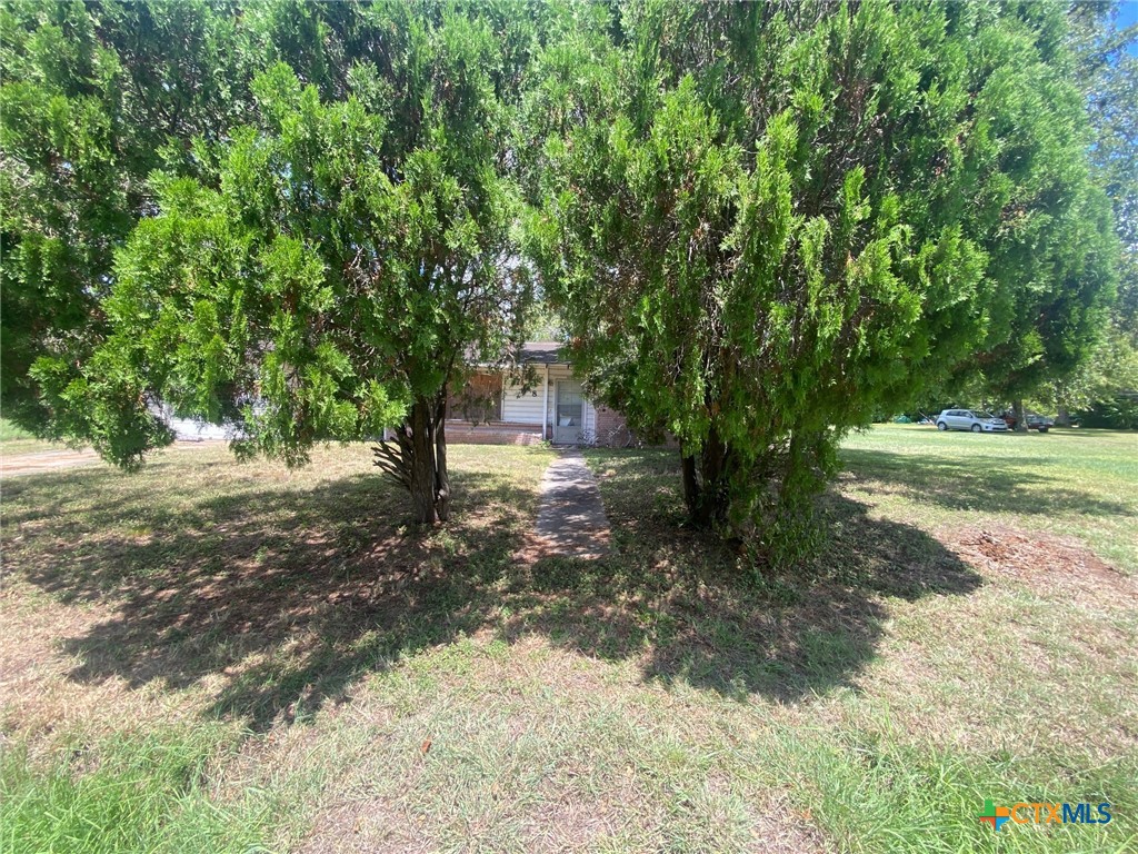 1708 Pleasant Green Drive Property Photo 5