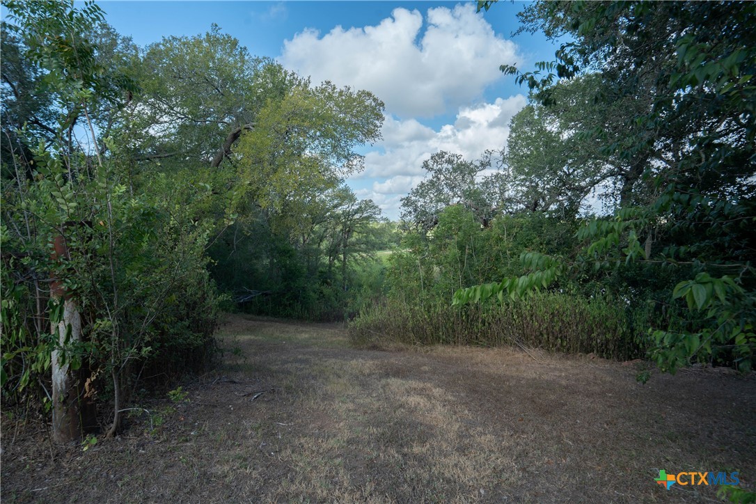 4291 County Road 429 Property Photo 15