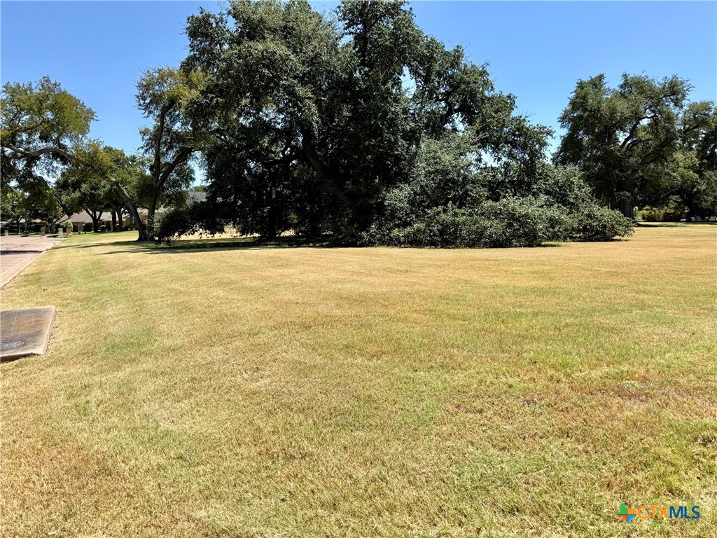 209 Twelve Oaks Drive
