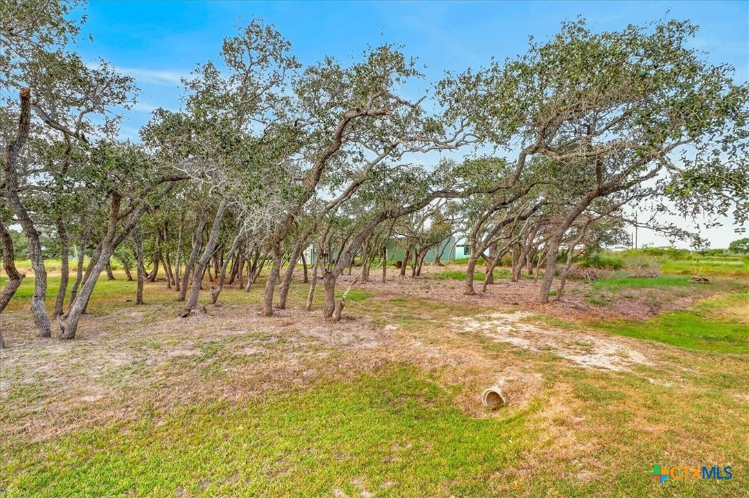 578 Mesquite Tree Loop Property Photo 4