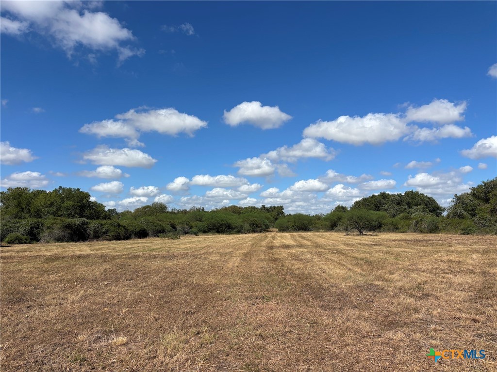 000 County Road 322 Property Photo 14