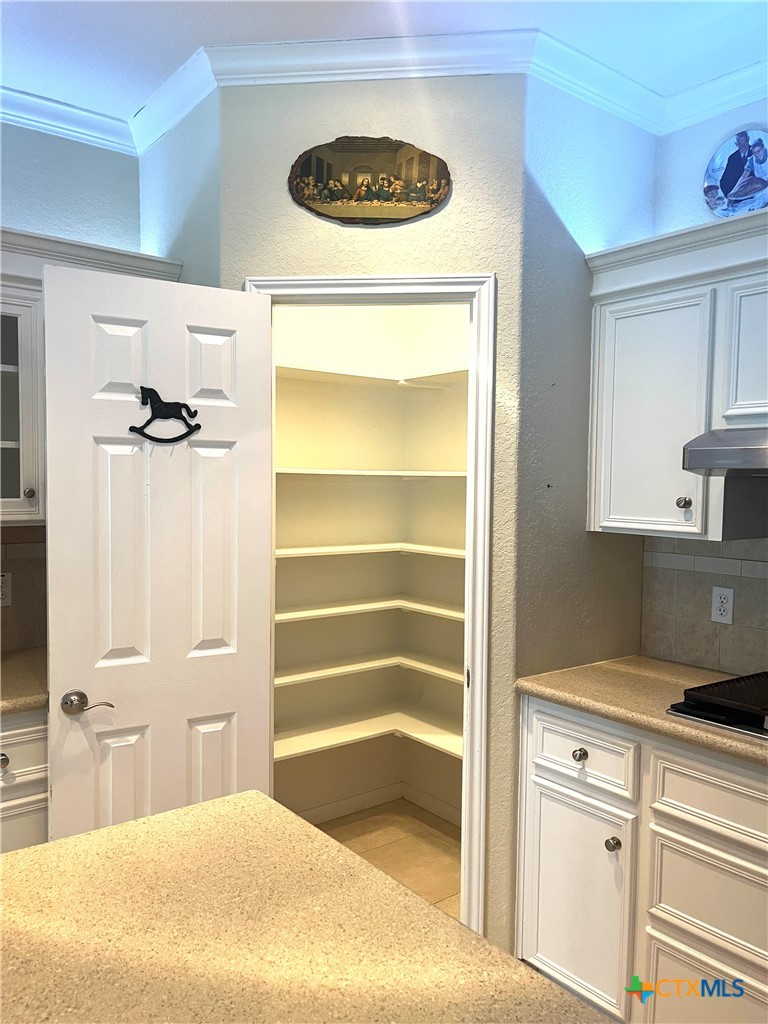 528 Jo Lynn Lane Property Photo 23
